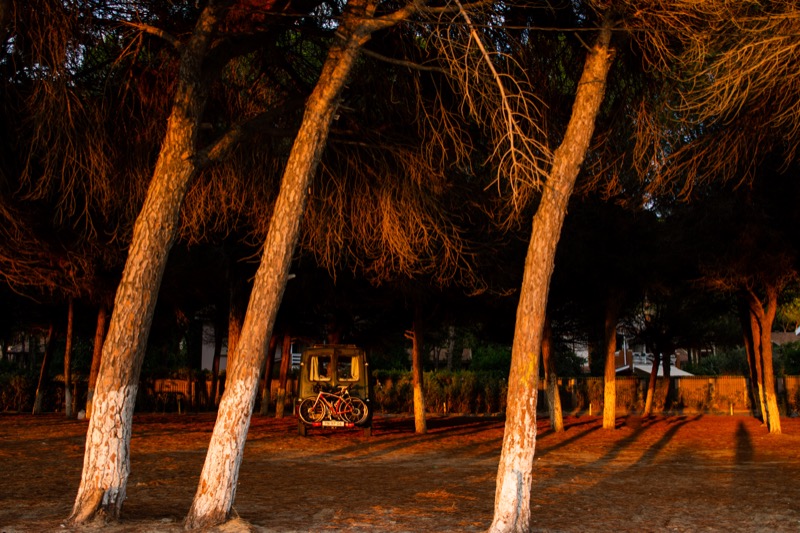 Wildkamperen in Albanië