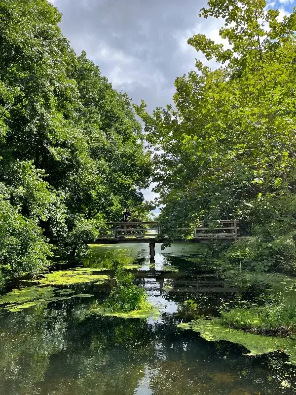 Wildkamperen in Denemarken