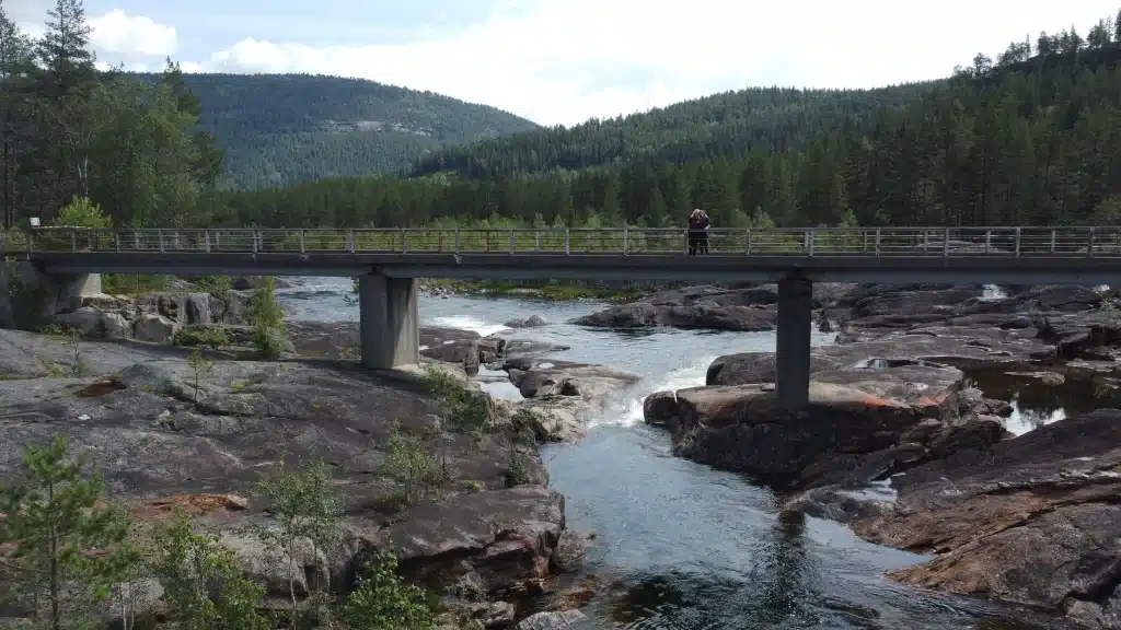 Wildkamperen in Noorwegen